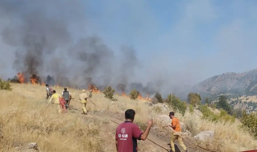 BİNGÖL'DEKİ YANGIN ÜZÜM BAĞLARINA SIÇRADI 5