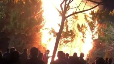 İzmir'de Konak Meydanı'ndaki ağaçlar yakıldı