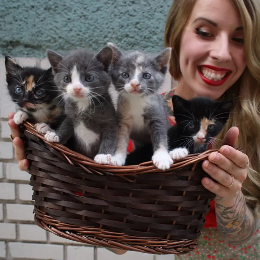 Hayatını kedileri kurtarmaya adadı 3