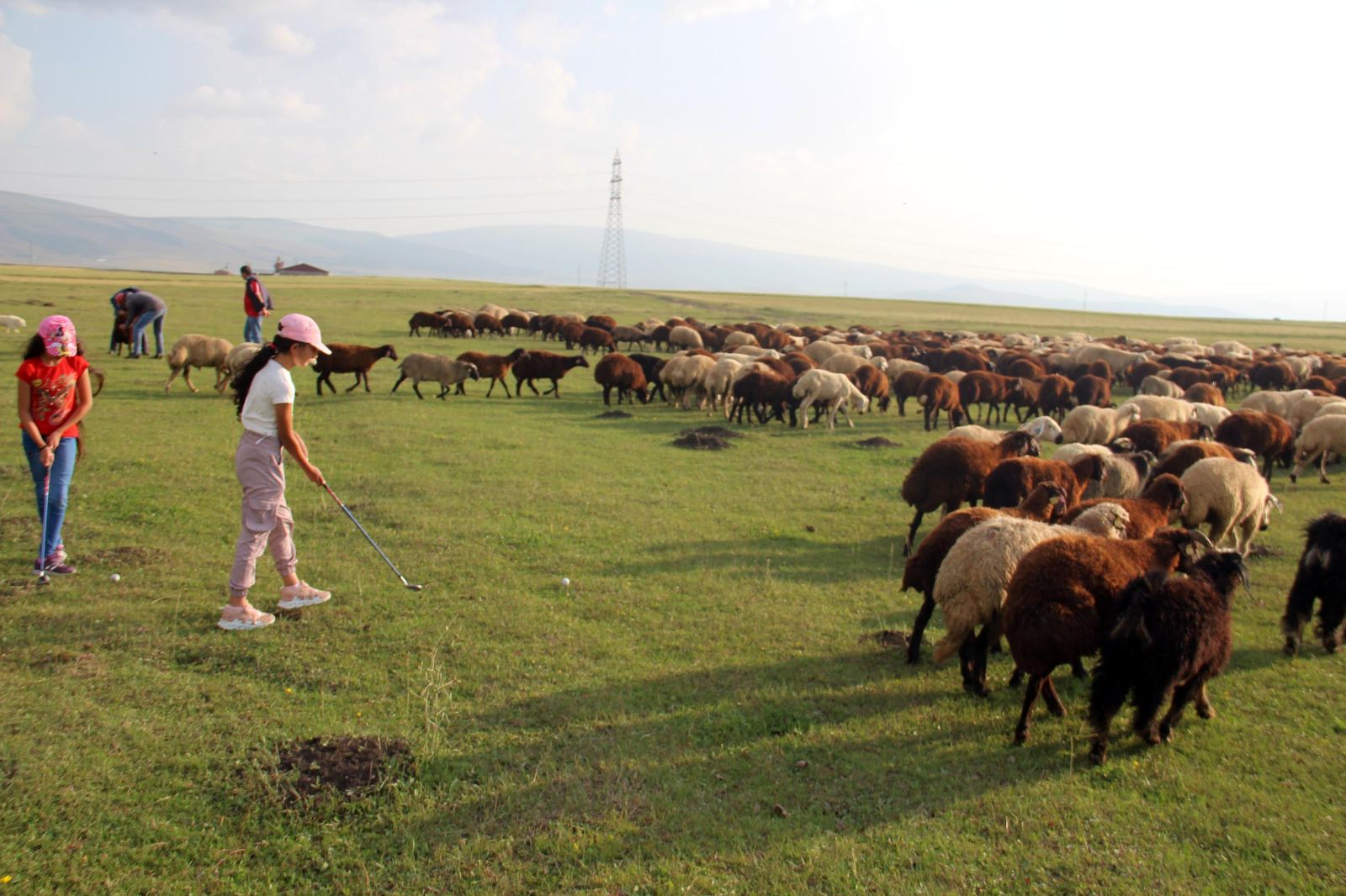 Çoban kızlar antrenmana gelemeyince golf takımı onlara gitti