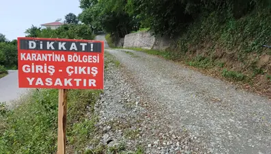 Denizli'de şap hastalığı nedeniyle 7 mahalle karantinaya alındı (Şap hastalığı nedir, belirtileri nelerdir?)