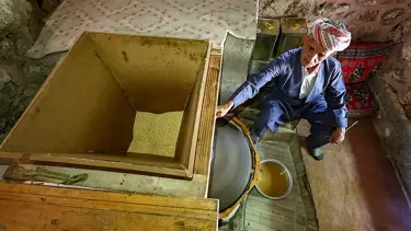 Tahinin Hakkari Çukurca'dan sofralara uzanan yolculuğu