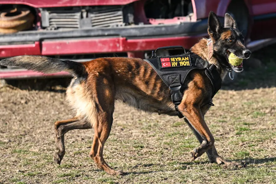 TürkHava Kuvvetleri’nin hassas burunları 9 TürkHava Kuvvetleri’nin hassas burunları 9