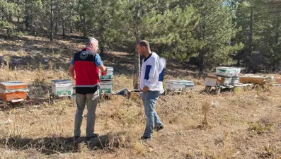 Beyşehir’de arılı kovan sayımları yapılıyor