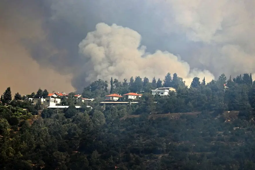 Harvard Üniversitesi: Orman yangınları Covid-19’un ölümcüllük düzeyini artırıyor 4
