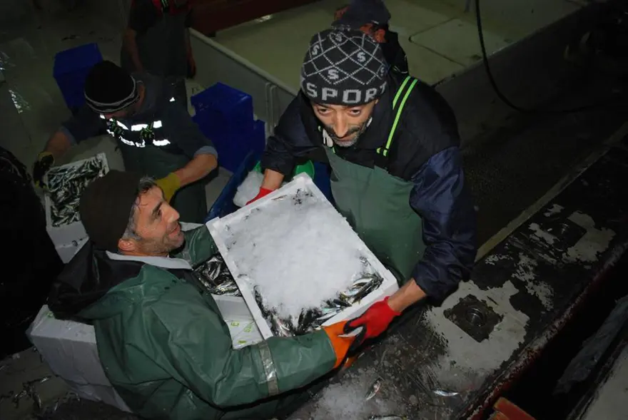 Hamsi yoksa 'kuru fasulye' var 