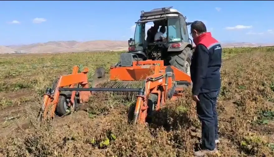 Üretimi 3 bin dekara ulaştı: Aranan ürünler arasında yer alıyor 1 Üretimi 3 bin dekara ulaştı: Aranan ürünler arasında yer alıyor 1