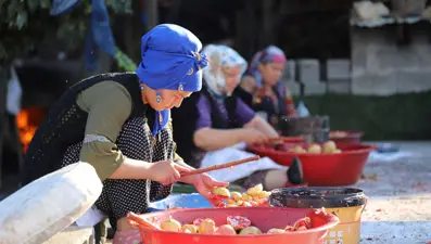 Gülnarlı kadınların nar ekşisi mesaisi