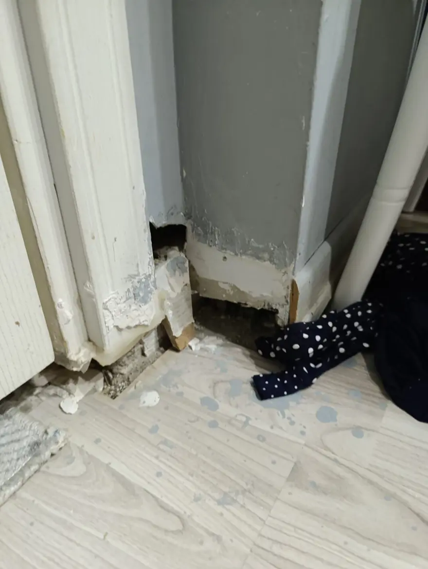 AİLELER HAKKINDA İŞLEM BAŞLATILACAK 2 AİLELER HAKKINDA İŞLEM BAŞLATILACAK 2