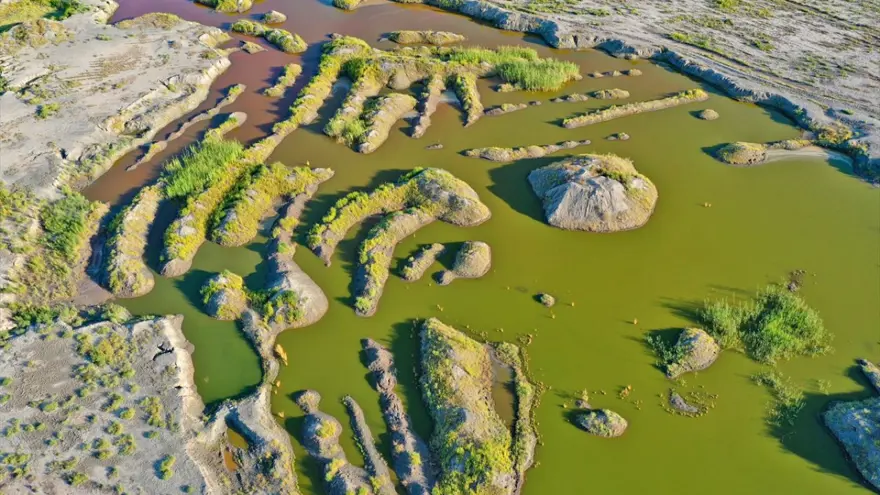 Ağrı Dağı eteklerindeki renkli sulak alanlar ilgi çekiyor 