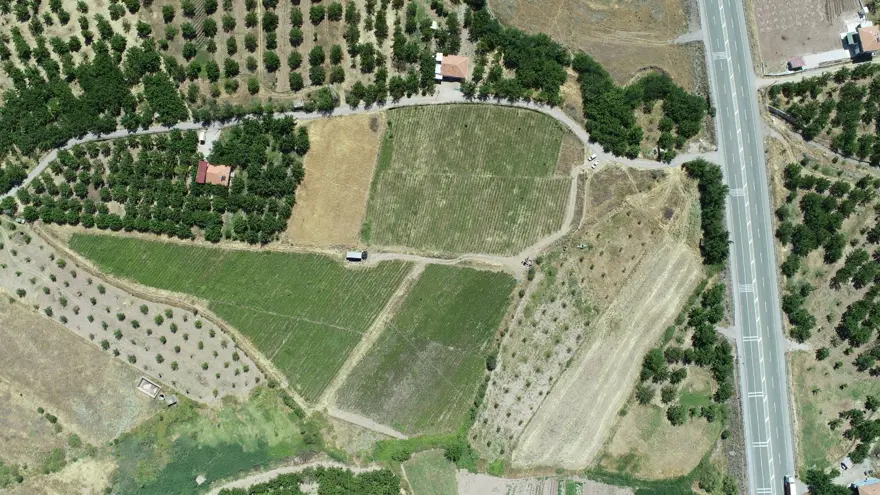 Kayısıya alternatif üretti şimdi siparişlere yetişemiyor 2