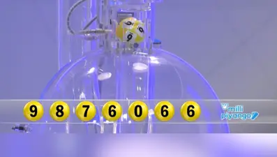 Büyük ikramiye çeyrek bilete çıktı