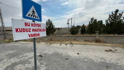 Kars'ta tilkiyle boğuşan köpek telef olunca belde kuduz karantinasına alındı