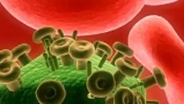 İşin sırrı penisteki bakteriler