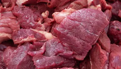 Milyonlarca kişinin uyguladığı etobur diyet tehlike saçıyor