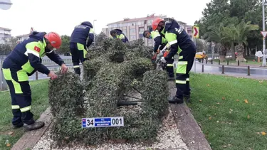 Sarmaşığın hayat verdiği F1 aracına büyük ilgi