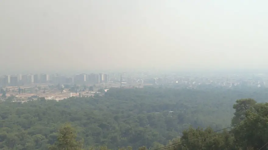 Antalya Manavgat'ta orman yangını 14