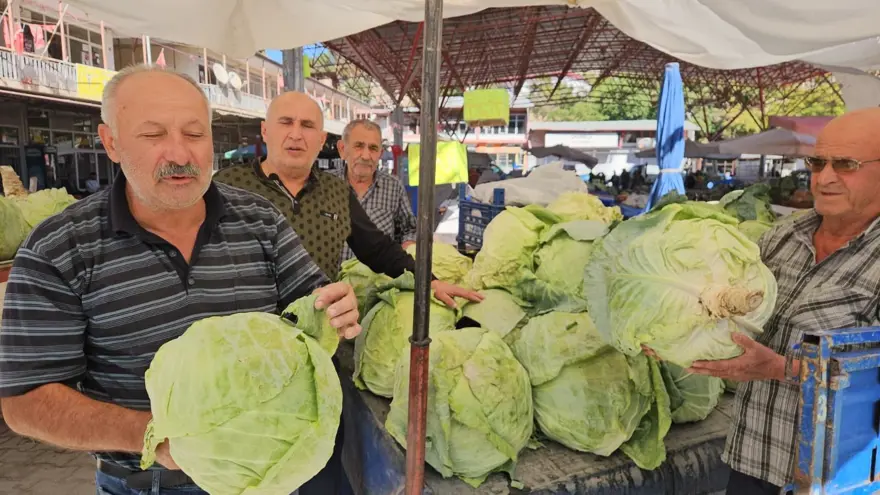 Bu yıl hasat yüz güldürdü: İstanbul, Ankara, Adana'ya gönderiliyor 3