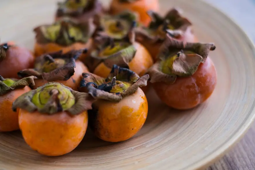 KAN ŞEKERİ DÜZENLEYİCİ 4 KAN ŞEKERİ DÜZENLEYİCİ 4