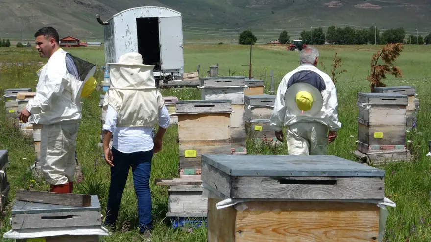 Hobi olarak bu işe başladı! Fiyatı dudak uçuklatıyor 1