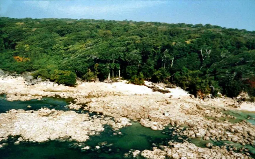 Dünyanın en izole toplumuna ev sahipliği yapan girmenin yasak olduğu ada 9