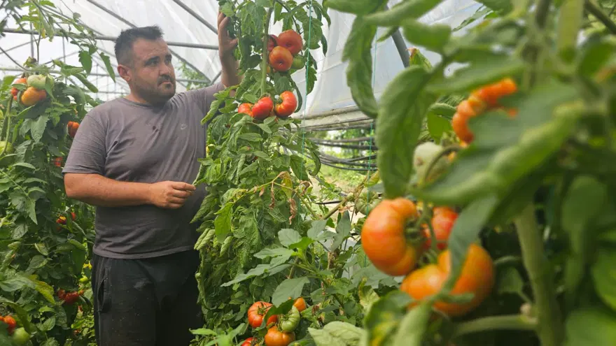 Baba mesleğini bıraktı: 25 yıldır toprağa emek veriyor 3