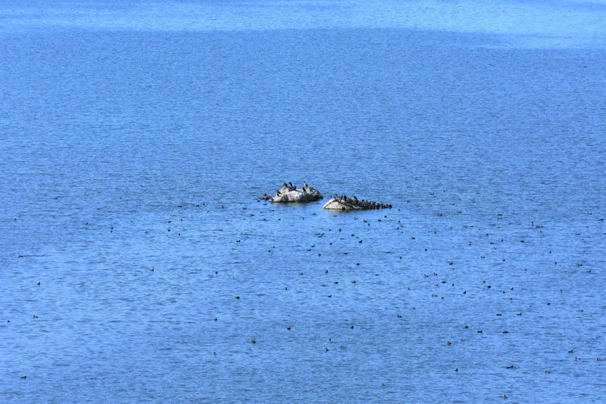 Bafa Gölü 261 kuş türüne ev sahipliği yapıyor 12
