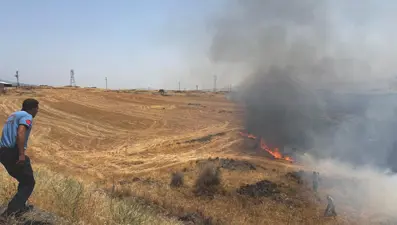 Gaziantep’te anız yangını: 300 dönüm alanda etkili oldu