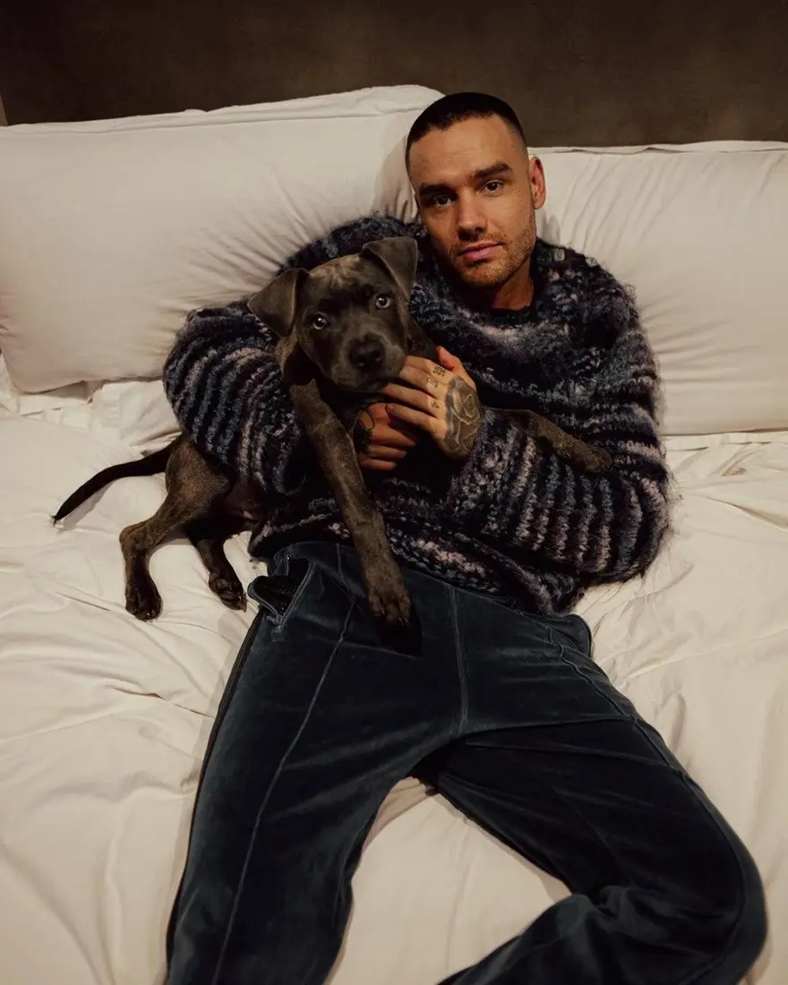 Liam Payne'in serveti ortaya çıktı | Balkondan düşerek hayatını kaybeden yıldız vasiyet yazmamış 2