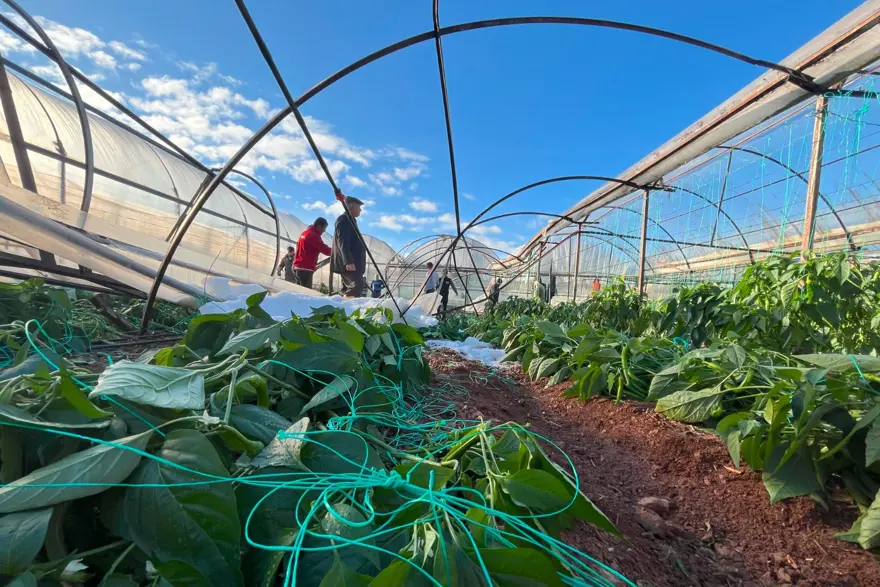 Antalya'da dolu seraları yıktı geçti 5