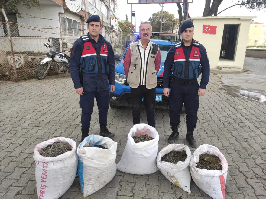 "Yeşil altın" için 22 bekçi görev yapıyor: 7/24 mesai yapıyor, hırsızlara geçit vermiyorlar 3 "Yeşil altın" için 22 bekçi görev yapıyor: 7/24 mesai yapıyor, hırsızlara geçit vermiyorlar 3