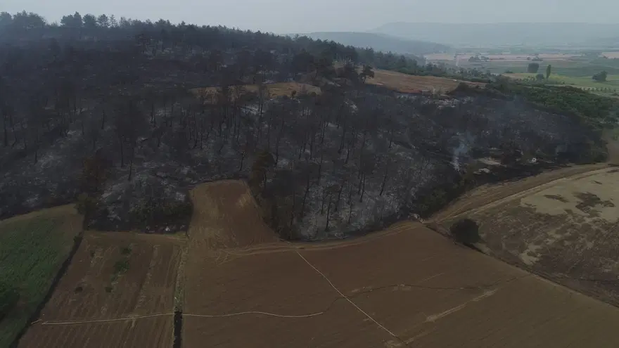 Çanakkale'de yangının boyutu gün ağarınca ortaya çıktı 6 Çanakkale'de yangının boyutu gün ağarınca ortaya çıktı 6