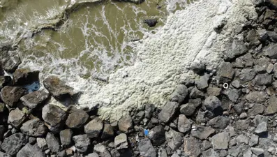 Tedirgin eden görüntü: Beyaz tabaka oluştu