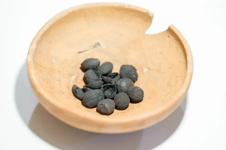 'Kütahya'nın kalbi' tarihi aydınlatıyorlar 15