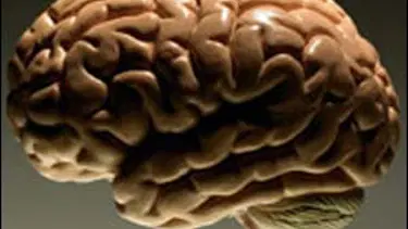 Beyne az kan gitmesi Alzheimer nedeni
