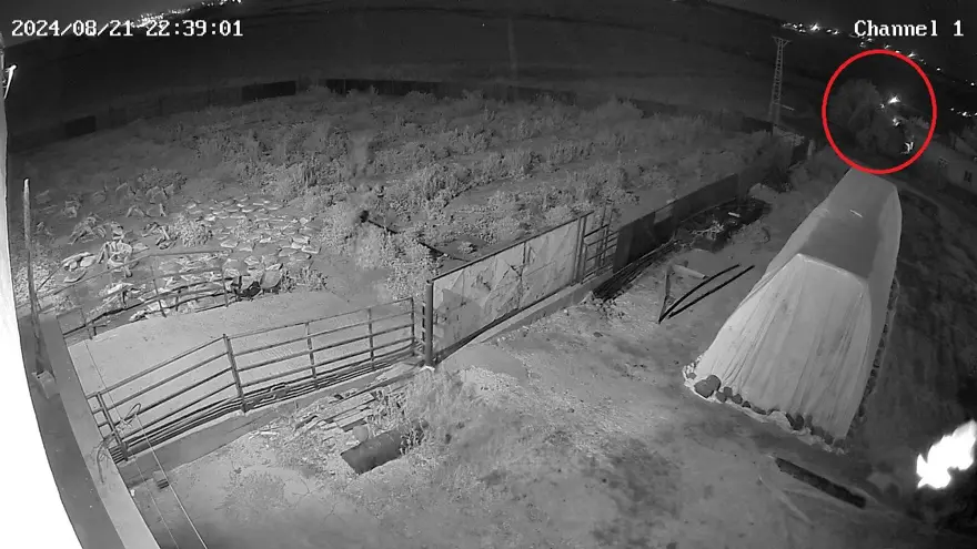 CESEDİN BULUNDUĞU ALANDA 8 DAKİKA KALMIŞ 4