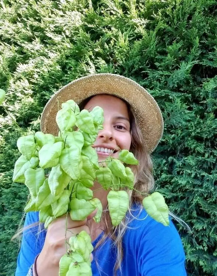 Mehmet Akif Alakurt'un yeni hayatı: Köyde tek başına 16