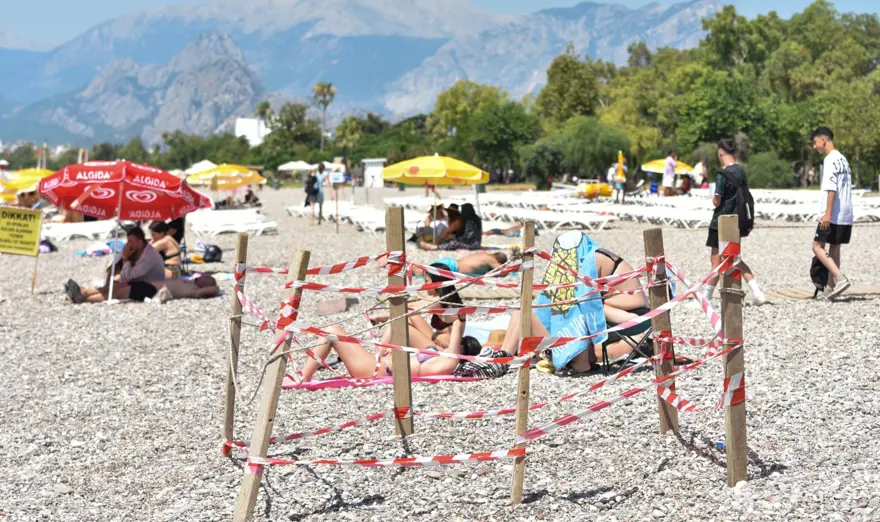 Caretta caretta yuvası çamaşır askısı oldu 3