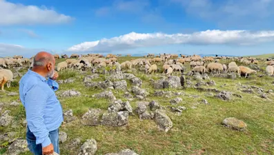 Tuz taşı olarak keçilere yalatılıyordu: Türk beyliklerinin savaş alanındaki mezar taşlarıymış