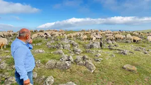 Tuz taşı olarak keçilere yalatılıyordu: Türk beyliklerinin savaş alanındaki mezar taşlarıymış