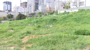 İstanbul'da 7 yaşındaki ikizlere köpek saldırısı: 30 dikiş atıldı