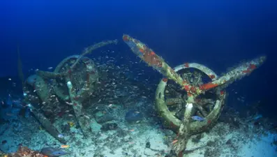 Döneminin en iyisiydi: İşte Kaş'taki batık savaş uçağının son hali