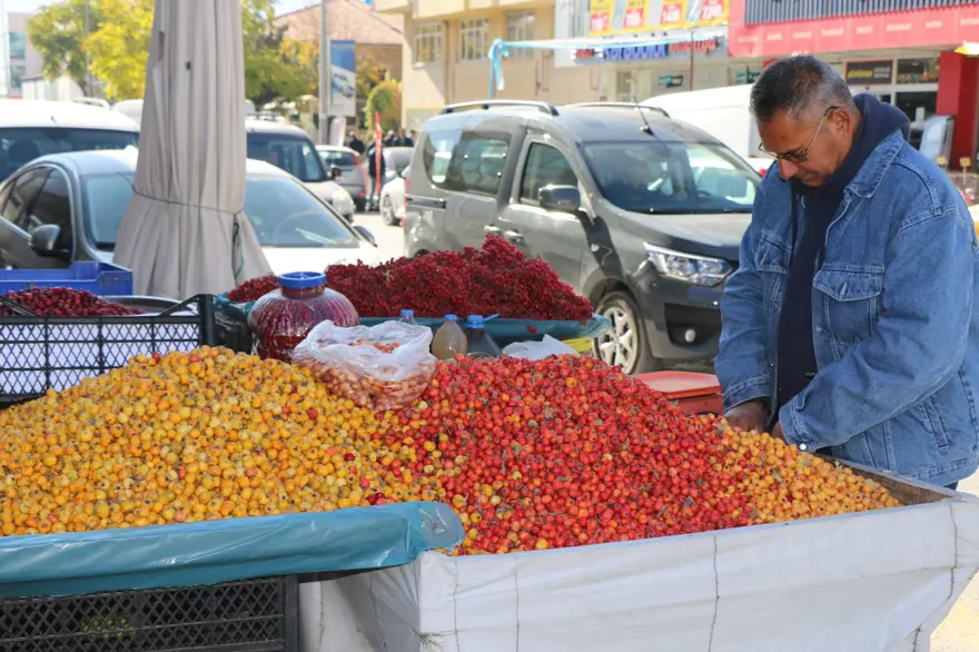 Seyyar doktor, dağ bitkileriyle şifa dağıtıyor! ''Bunu 2 ay tükettiğinizde kalpteki tüm damarlar açılıyor'' 3