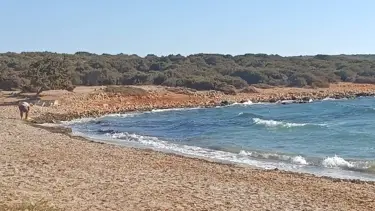 Göçmen botundan düşen anne ve çocuğu can verdi