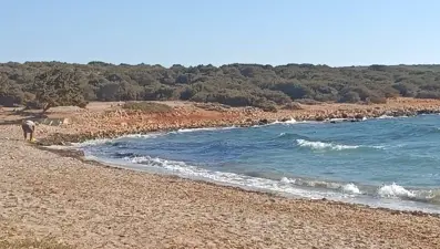 Göçmen botundan düşen anne ve çocuğu can verdi