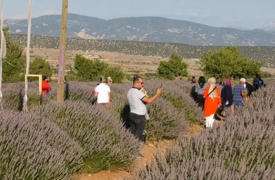 'Mor turizm' lavanta tarlaları pandemiye rağmen 250 bin ziyaretçi ağırladı 4 'Mor turizm' lavanta tarlaları pandemiye rağmen 250 bin ziyaretçi ağırladı 4