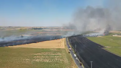 Tekirdağ'da tarım alanında çıkan yangın söndürüldü