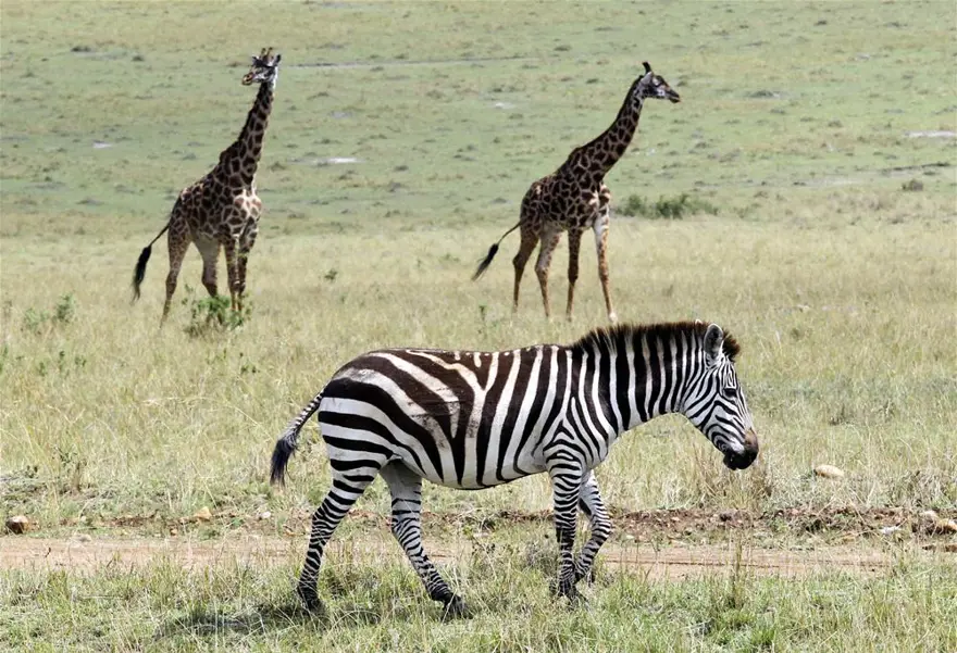 'Doğanın gözyaşı' 10