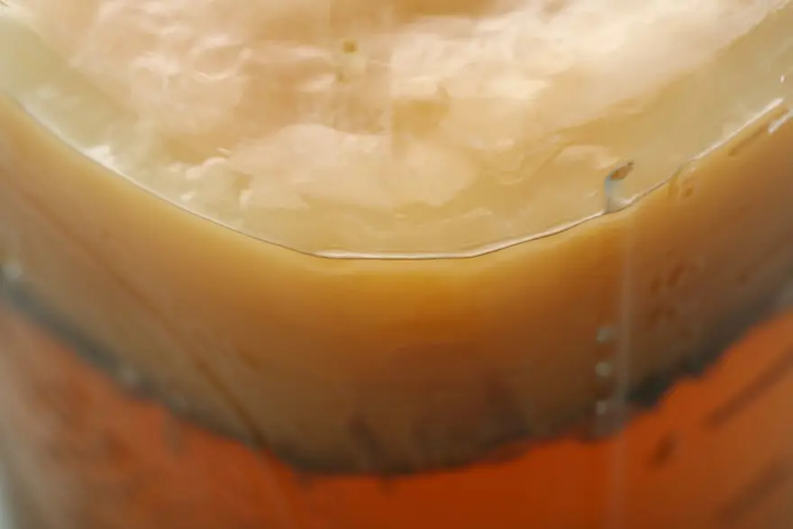 Bir bardağı bile beyindeki serotonin seviyelerini artırıyor: Canan Karatay'ın da tavsiyesi! Faydaları bilimsel olarak kanıtlandı 1