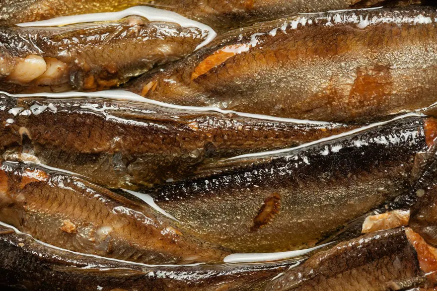 YAĞLI BALIK 3 YAĞLI BALIK 3